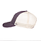GAME CHANGER CAP WILD PLUM