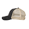 OLLIE DISTRESSED CAP BLACK / TAN