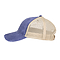 OLLIE DISTRESSED CAP PURPLE / TAN